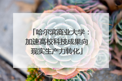 哈尔滨商业大学：加速高校科技成果向现实生产力转化