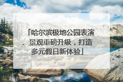 哈尔滨极地公园表演、景观重磅升级，打造多元假日新体验