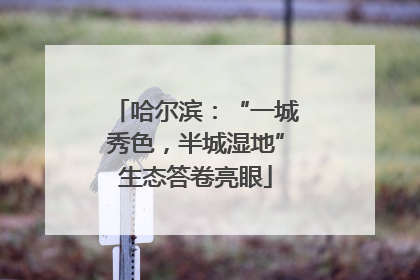 哈尔滨：“一城秀色，半城湿地”生态答卷亮眼