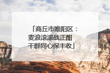 商丘市睢阳区：麦浪滚滚战正酣 干群同心保丰收