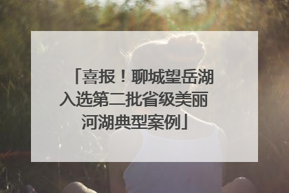 喜报！聊城望岳湖入选第二批省级美丽河湖典型案例