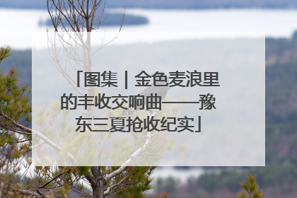 图集｜金色麦浪里的丰收交响曲——豫东三夏抢收纪实