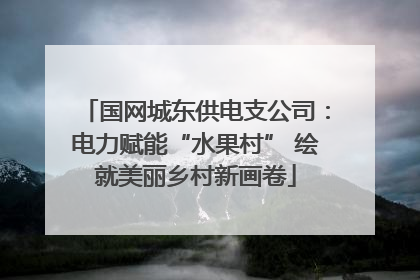 国网城东供电支公司：电力赋能“水果村” 绘就美丽乡村新画卷
