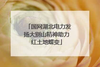 国网湖北电力发扬大别山精神助力红土地蝶变