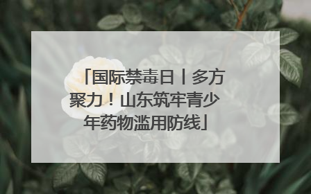 国际禁毒日丨多方聚力！山东筑牢青少年药物滥用防线