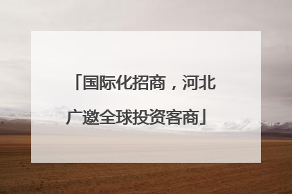 国际化招商，河北广邀全球投资客商
