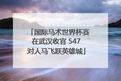 国际马术世界杯赛在武汉收官 547对人马飞跃英雄城