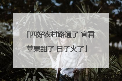四好农村路通了 宜君苹果甜了 日子火了