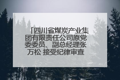 四川省煤炭产业集团有限责任公司原党委委员、副总经理张万松 接受纪律审查和监察调查