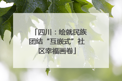 四川：绘就民族团结“互嵌式”社区幸福画卷