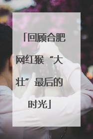 回顾合肥网红猴“大壮”最后的时光