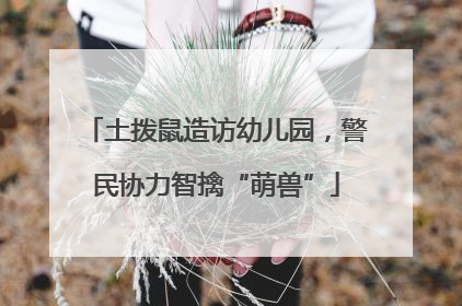 土拨鼠造访幼儿园，警民协力智擒“萌兽”