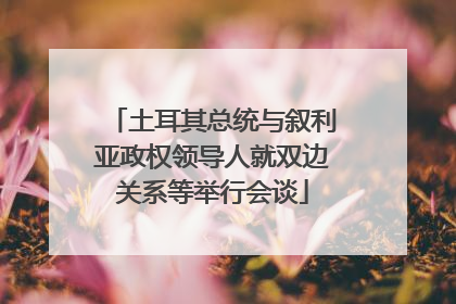 土耳其总统与叙利亚政权领导人就双边关系等举行会谈