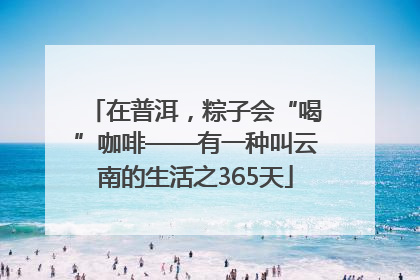 在普洱，粽子会“喝”咖啡——有一种叫云南的生活之365天