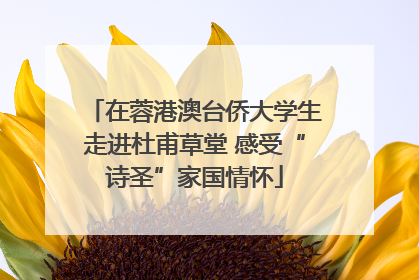 在蓉港澳台侨大学生走进杜甫草堂 感受“诗圣”家国情怀