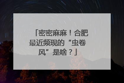 密密麻麻！合肥最近频现的“虫卷风”是啥？