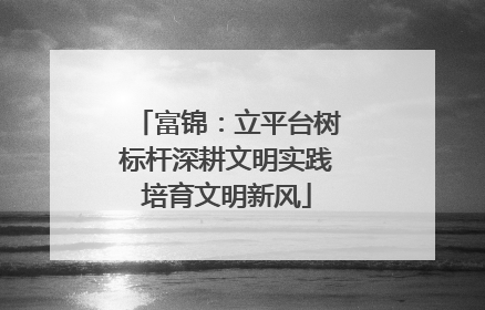 富锦：立平台树标杆深耕文明实践培育文明新风