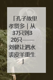 孔子故里孝贤多｜从37只到320只——刘健让泗水裘皮羊重生