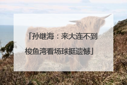 孙继海：来大连不到梭鱼湾看场球挺遗憾