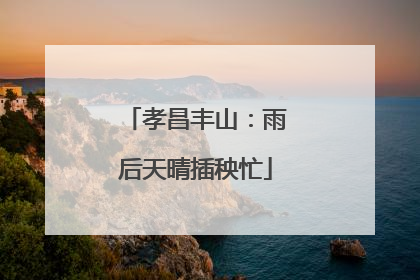 孝昌丰山：雨后天晴插秧忙