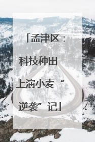 孟津区：科技种田 上演小麦“逆袭”记