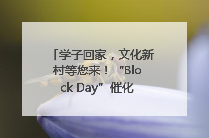 学子回家，文化新村等您来！“Block Day”催化学院式街区新生态