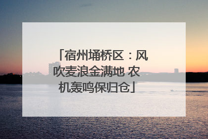 宿州埇桥区：风吹麦浪金满地 农机轰鸣保归仓