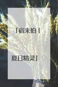 宿来拍丨夏日精灵