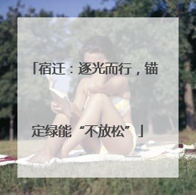 宿迁：逐光而行，锚定绿能“不放松”