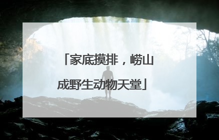 家底摸排，崂山成野生动物天堂