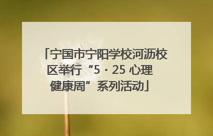 宁国市宁阳学校河沥校区举行“5・25 心理健康周”系列活动