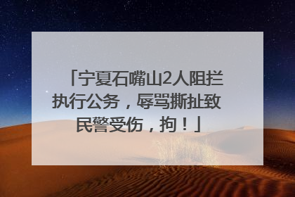 宁夏石嘴山2人阻拦执行公务，辱骂撕扯致民警受伤，拘！