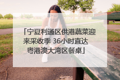 宁夏利通区供港蔬菜迎来采收季 36小时直达粤港澳大湾区餐桌
