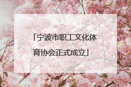 宁波市职工文化体育协会正式成立