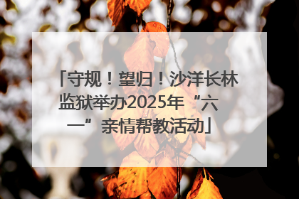 守规！望归！沙洋长林监狱举办2025年“六一”亲情帮教活动