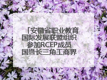 安徽省职业教育国际发展联盟组织参加RCEP成员国暨长三角工商界青年对话会