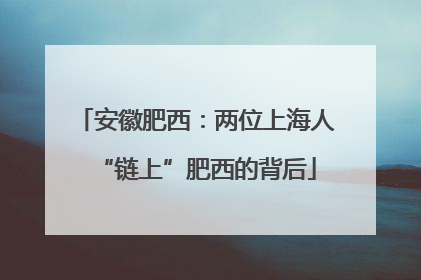 安徽肥西：两位上海人“链上”肥西的背后