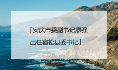 安庆市委副书记廖强出任宿松县委书记