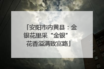 安阳市内黄县：金银花里采“金银” 花香溢满致富路