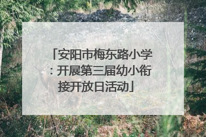 安阳市梅东路小学：开展第三届幼小衔接开放日活动