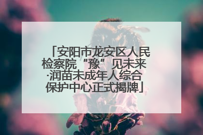 安阳市龙安区人民检察院“豫”见未来·润苗未成年人综合保护中心正式揭牌