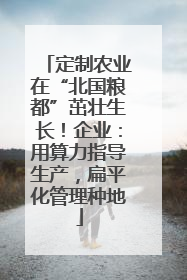 定制农业在“北国粮都”茁壮生长！企业：用算力指导生产，扁平化管理种地