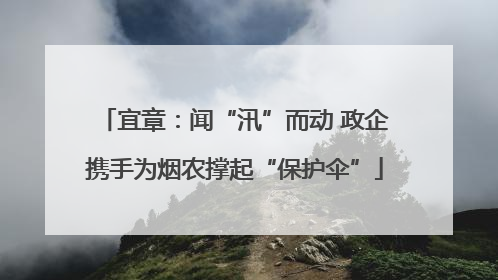 宜章：闻“汛”而动 政企携手为烟农撑起“保护伞”