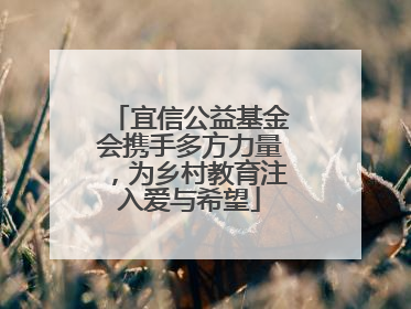 宜信公益基金会携手多方力量，为乡村教育注入爱与希望