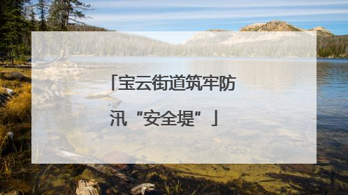 宝云街道筑牢防汛“安全堤”