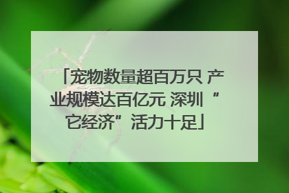 宠物数量超百万只 产业规模达百亿元 深圳“它经济”活力十足