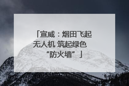 宣威：烟田飞起无人机 筑起绿色“防火墙”