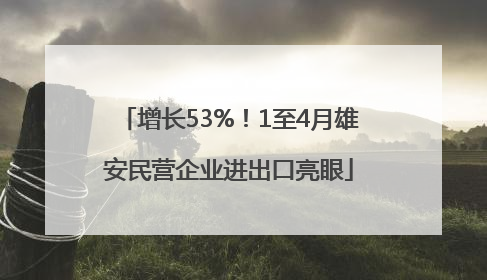 增长53%！1至4月雄安民营企业进出口亮眼