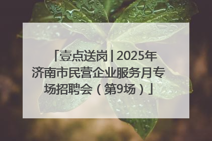 壹点送岗│2025年济南市民营企业服务月专场招聘会（第9场）