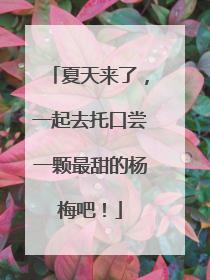 夏天来了，一起去托口尝一颗最甜的杨梅吧！